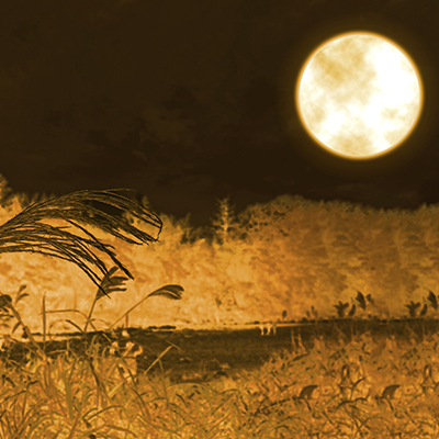 満月とすすき