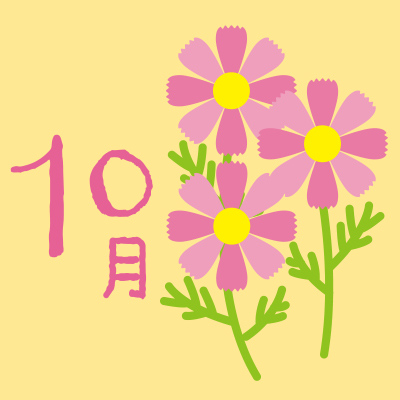10月秋桜