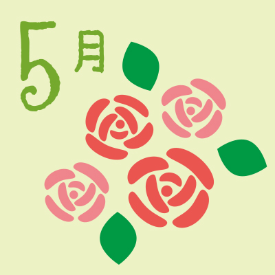 5月カーネーション