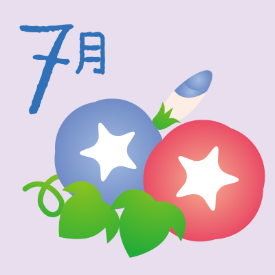 7月朝顔